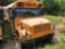2000 International 3800 Bus