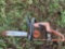 Stihl MS 250 Chainsaw