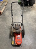 DR Trimmer/ Mower