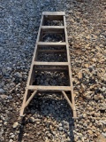 5ft Louisville Ladder