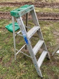 Werner 4 ft Ladder