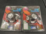 (2) LED Headlamps