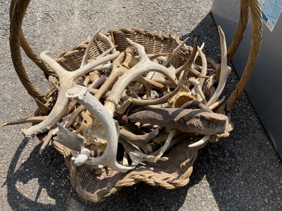 Basket of Antlers