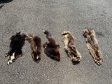 Animal Pelts