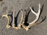 Misc. Antlers