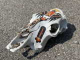 Decorative Cow Skull