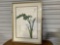 Framed Picture