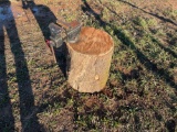 Vice Mounted On Log
