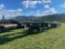 52ft Car Hauler Trailer