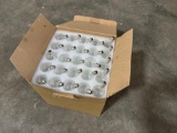 Box of Light Bulbs