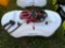 New 25 Gallon ATV Tank Sprayer