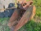 24in Bucket Trench Compactor for Komatsu