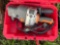 Ridgid 1/2inch Right Angle Drill in Milwaukee Box