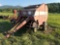 Vicon RP 1211 M Round Hay Baler