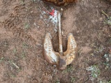 Roloff Anchor