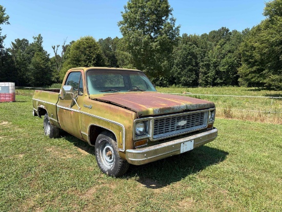 1973 C10 Pickup Truck