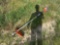 Husqvarna 122RJ Weedeater