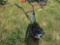 Earthquake Tiller
