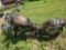 2004 Suzuki Boulevard Motorcycle