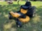 Cub Cadet Zero Turn