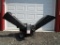 Craftsman 8hp Chipper/Shredder - NO RESERVE