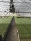 Andpro Greenhouse Boom Watering System - Located in Deerfield, MI