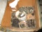 Large Lot of Bolts