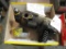Ford 420 Hydraulic Pump