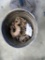 Bucket of Chain