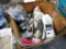 Lot of Lawn & Garden Parts