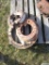 Lot of 3 Wheel Weights