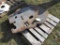 Pallet of 4 - 110 Killogram New Holland Suitcase Weights