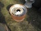 Lot of 2 Rims