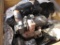 New Holland Engine Core