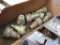 Hydraulic Adapters