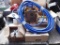 137-4 Lot of Tools and Air Hose