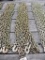 118-66 Lot of 2 NEW 3/8 Grade 70 20' Chains - Bid/Piece amount will be multiplied by 2