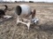 103-4 Gas Powered Cement Mixer w/ Honda Motor