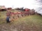 145-12 Hard to find IH 720 8 Bottom On-Land Plow