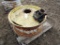 105-5 (1) John Deere 9 Bolt Hub and 38