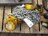 109-4 6 Ton Chain Fall