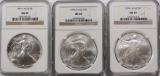 NGC GRADED MS69 EAGLES 91, 98 AND 99. NGC GRADED MS 69 AMERICAN SILVER EAGLES: 991, 1998 AND 1999. E