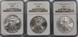 NGC GRADED MS 69 EAGLES: 2000, 2001 AND 2002 NGC GRADED MS69 AMERICAN SILVER EAGLES: 2000, 2001 AND