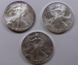 LOT OF THREE AMERICAN SILVER EAGLES