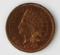 1893 INDIAN CENT