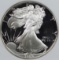 1989-S AMERICAN SILVER EAGLE