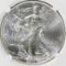 2012-W AMERICAN SILVER EAGLE