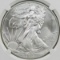 2013 AMERICAN SILVER EAGLE