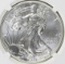 2014-W AMERICAN SILVER EAGLE