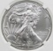 2019 AMERICAN SILVER EAGLE